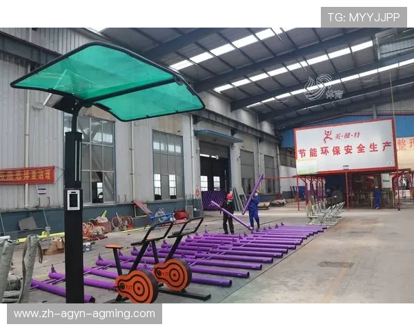 钢铁交响曲全球顶级健身器材视觉巡礼